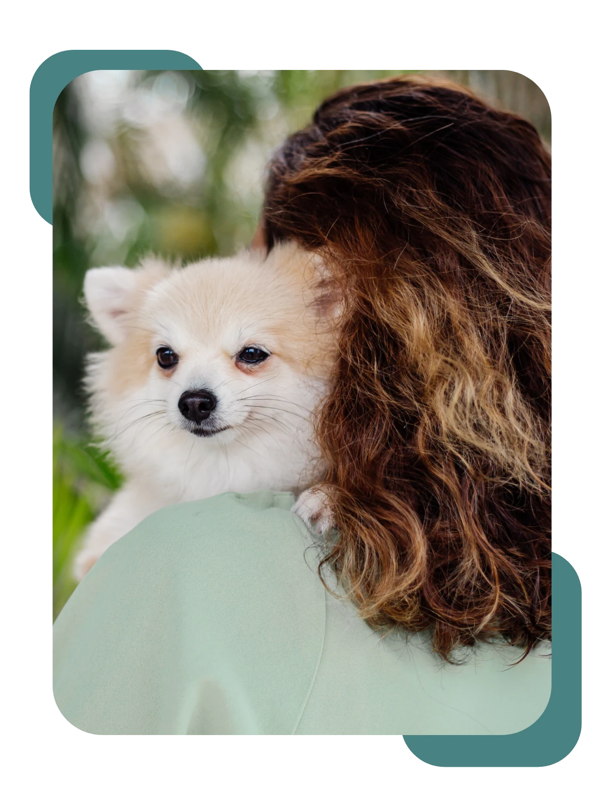 Imagem sobre o canil